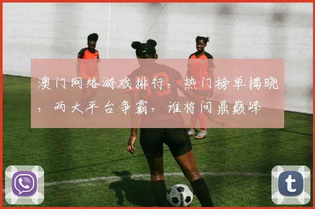澳门网络游戏排行，热门榜单揭晓，两大平台争霸，谁将问鼎巅峰